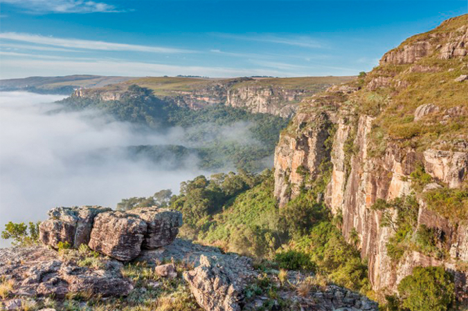 canyon guartela