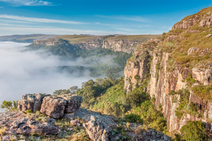 canyon guartela