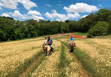 Passeios a Cavalo